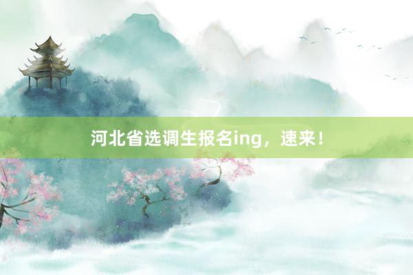 河北省选调生报名ing，速来！