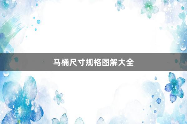 马桶尺寸规格图解大全