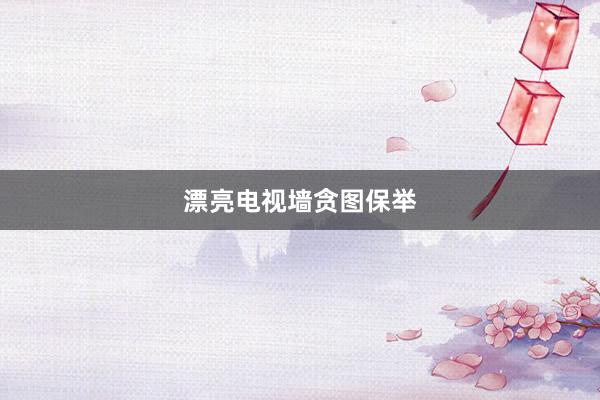 漂亮电视墙贪图保举