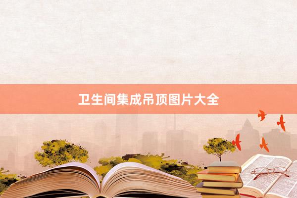 卫生间集成吊顶图片大全