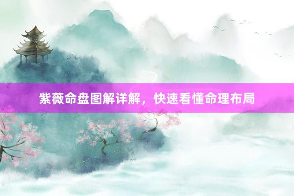 紫薇命盘图解详解，快速看懂命理布局
