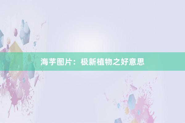海芋图片：极新植物之好意思
